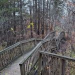 Remington Park Tent Campground