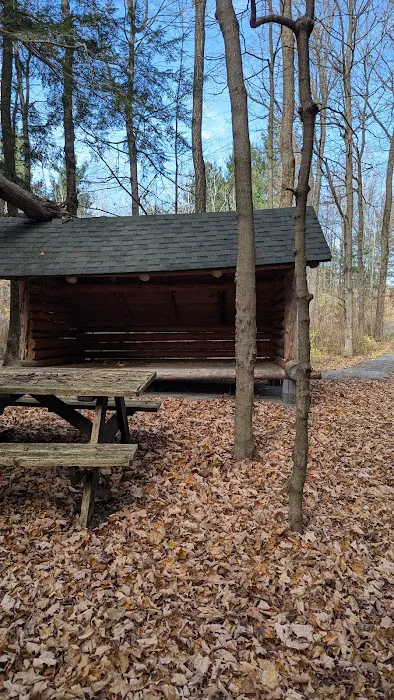 Adirondack Lean-tos Campsites Picture 4