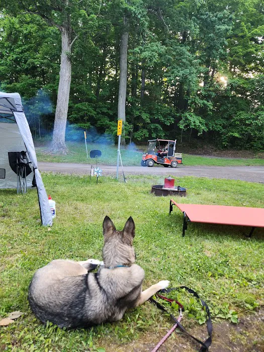 North Bay Campgrounds Picture 3