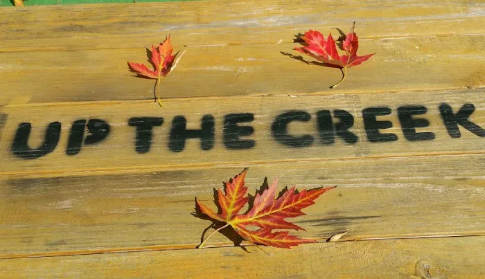 Up the Creek Campgrounds Picture 8