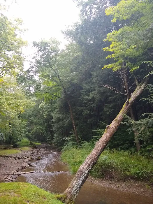 Austin Campground Picture 7