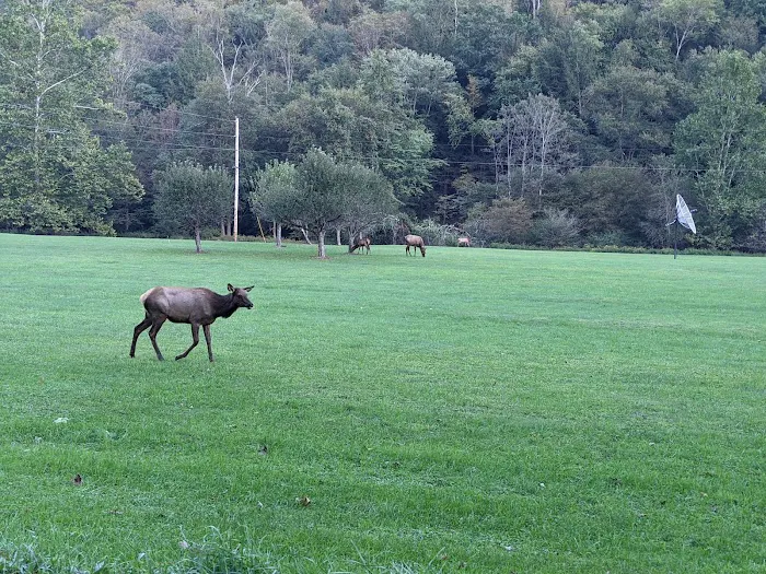 Austin Campground Picture 5