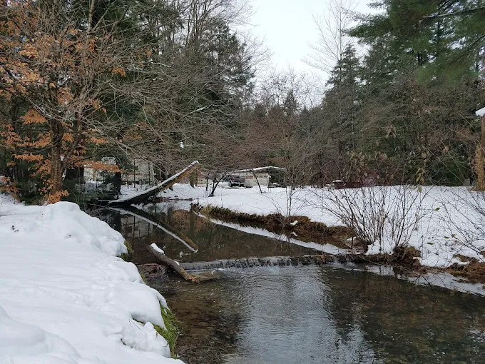 Hemlock Campground of Potter County Picture 4