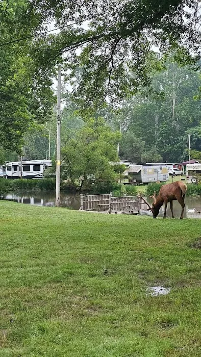 Hemlock Campground of Potter County Picture 5
