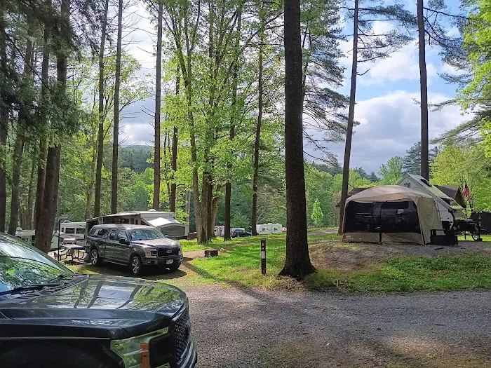 Campground at Sinnemahoning State Park Picture 5
