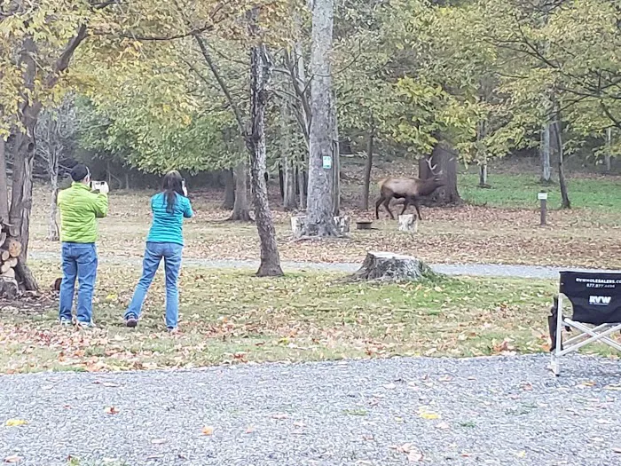 Elk Country Campground Picture 5