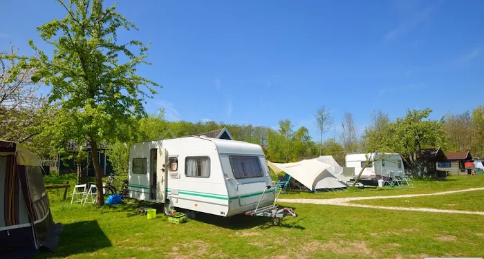 Raymont RV Park Picture 5