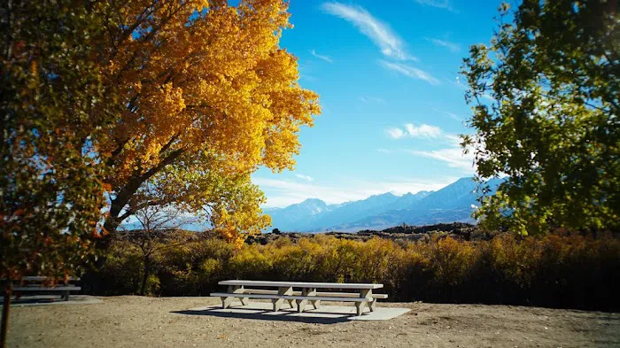 Raymont RV Park Picture 2