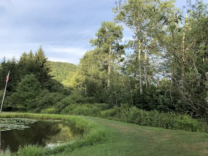 Cady Hollow Campground Picture 2