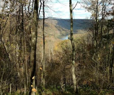 State Game Lands 321