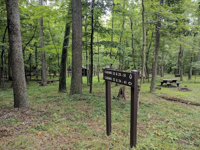 Camp Misty Mount Picture 5