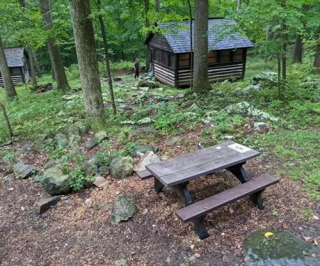 Camp Misty Mount