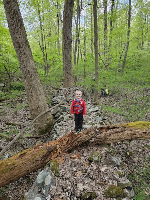 Poplar Grove Youth Group Tent Campground Picture 7