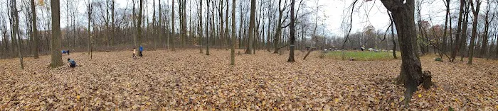 Poplar Grove Youth Group Tent Campground Picture 4