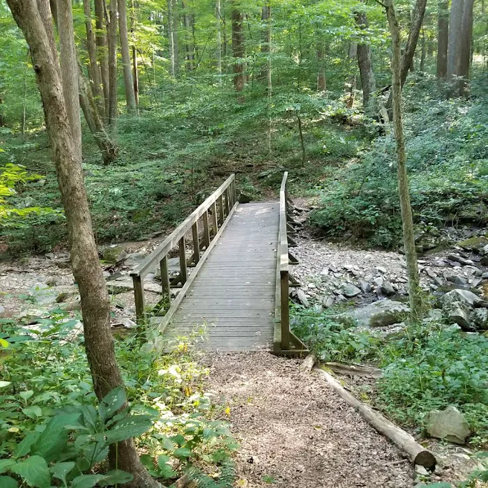 Owens Creek Campground Picture 6