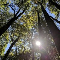 Owens Creek Campground ico