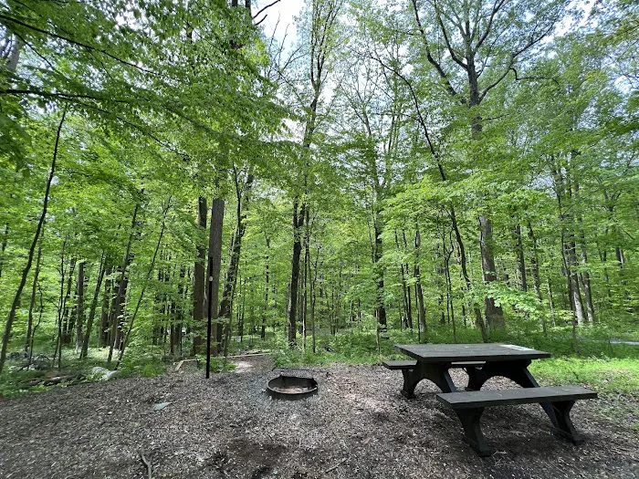 Owens Creek Campground Picture 2