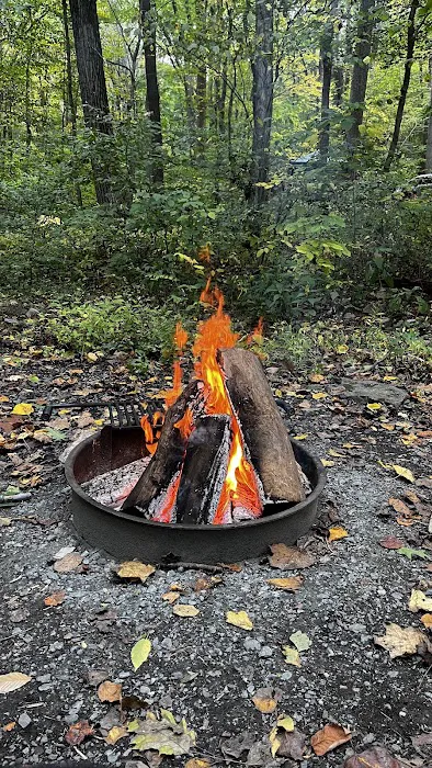 Owens Creek Campground Picture 8