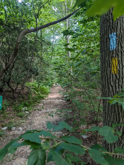 Manor Area - Cunningham Falls State Park Picture 1