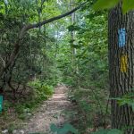 Manor Area - Cunningham Falls State Park