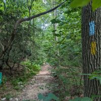 Manor Area - Cunningham Falls State Park ico