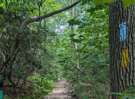 Manor Area - Cunningham Falls State Park