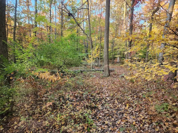 Manor Area - Cunningham Falls State Park Picture 8