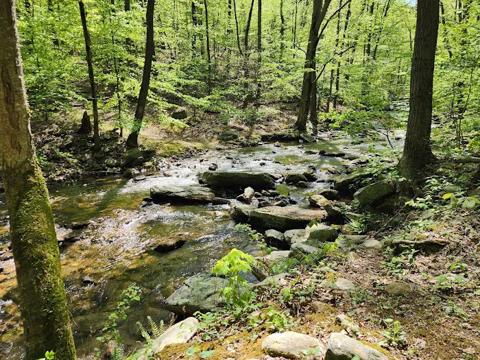 Manor Area - Cunningham Falls State Park Picture 10
