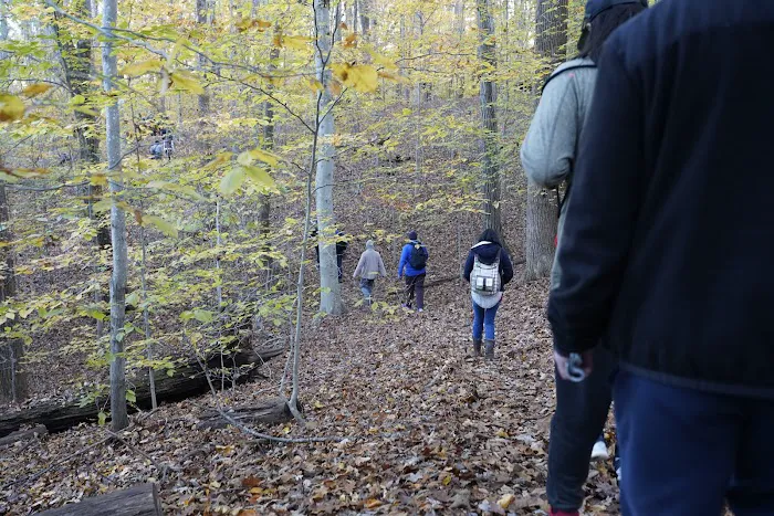 Turkey Run Ridge Group Campground Picture 10