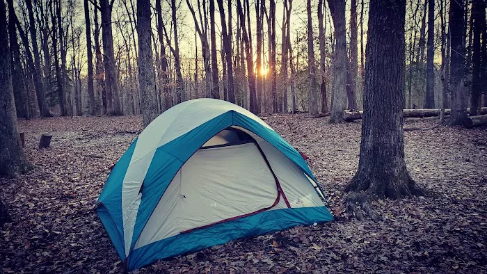 Turkey Run Ridge Group Campground Picture 4