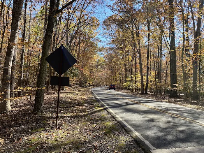 Turkey Run Ridge Group Campground Picture 2