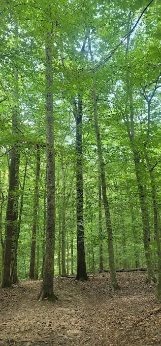 Turkey Run Ridge Group Campground Picture 9
