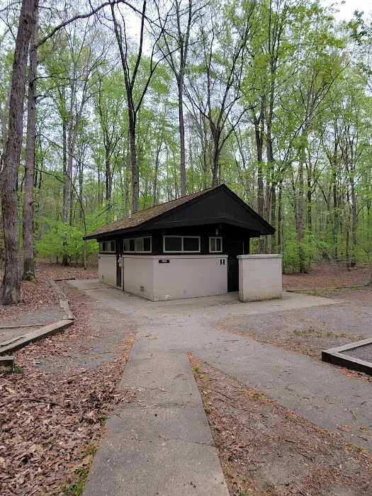 Turkey Run Ridge Group Campground Picture 5