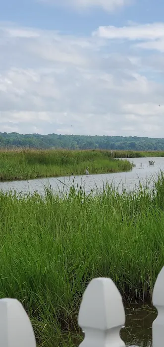 Port Tobacco RV Resort Picture 6