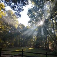 Oak Ridge Campground1 ico