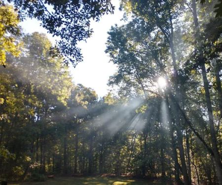 Oak Ridge Campground1