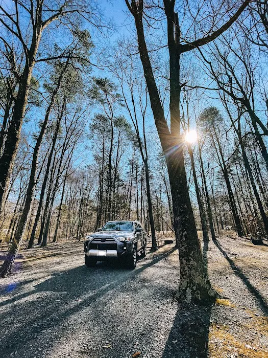 Bull Run Campground Picture 10