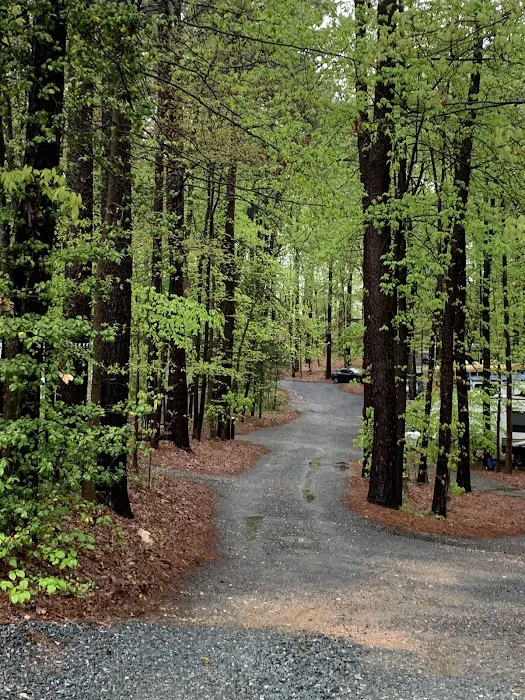 Aquia Pines Camp Resort Picture 10