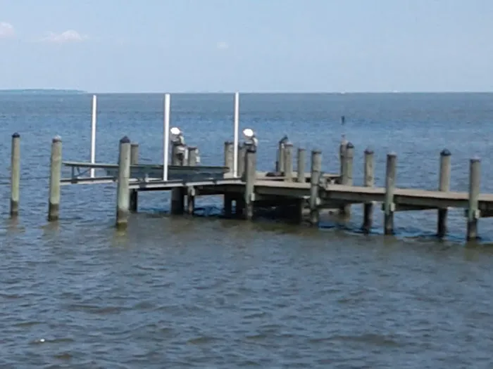 Aqualand Marina and Campground Picture 9
