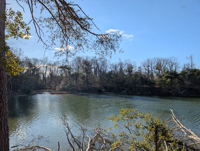Hog Point Campground Picture 3