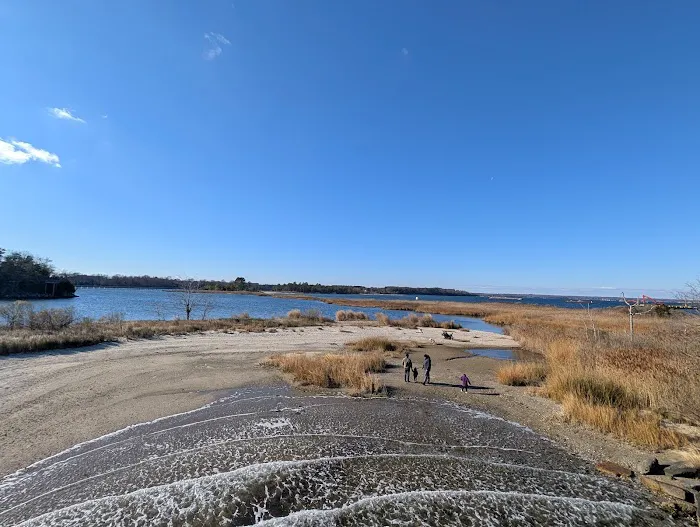 Hog Point Campground Picture 1
