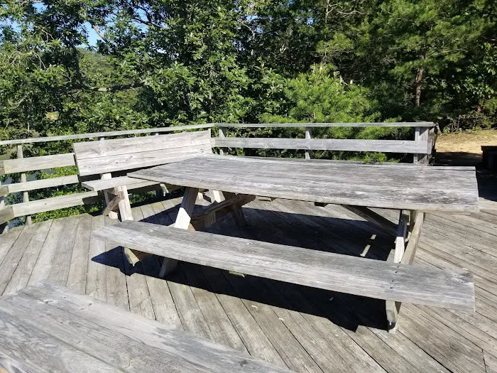 Paradise Grove Campground Picture 2