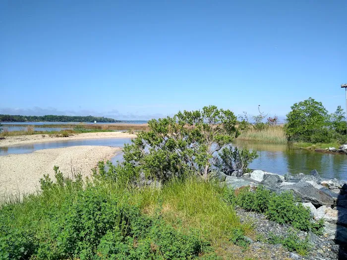 Paradise Grove Campground Picture 4