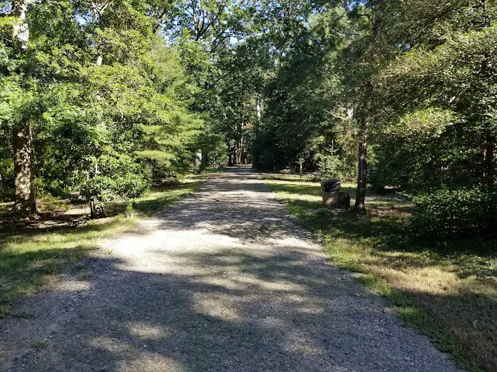 Paradise Grove Campground Picture 9