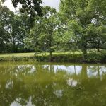 Coble Village Mobile Home Park