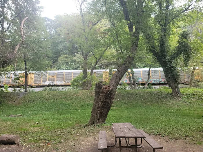 Bald Eagle Hiker Camper Campsite Picture 1