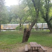 Bald Eagle Hiker Camper Campsite ico