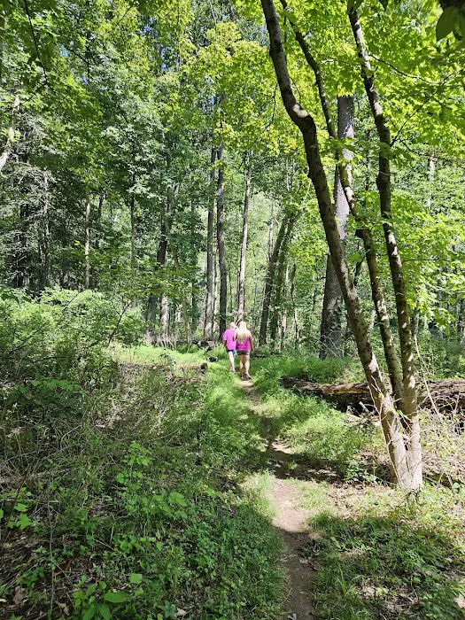 Branch Campground Picture 4