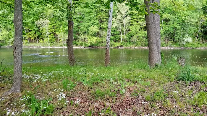 Branch Campground Picture 5