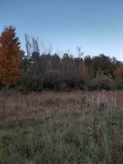 Wooded Estates Picture 4